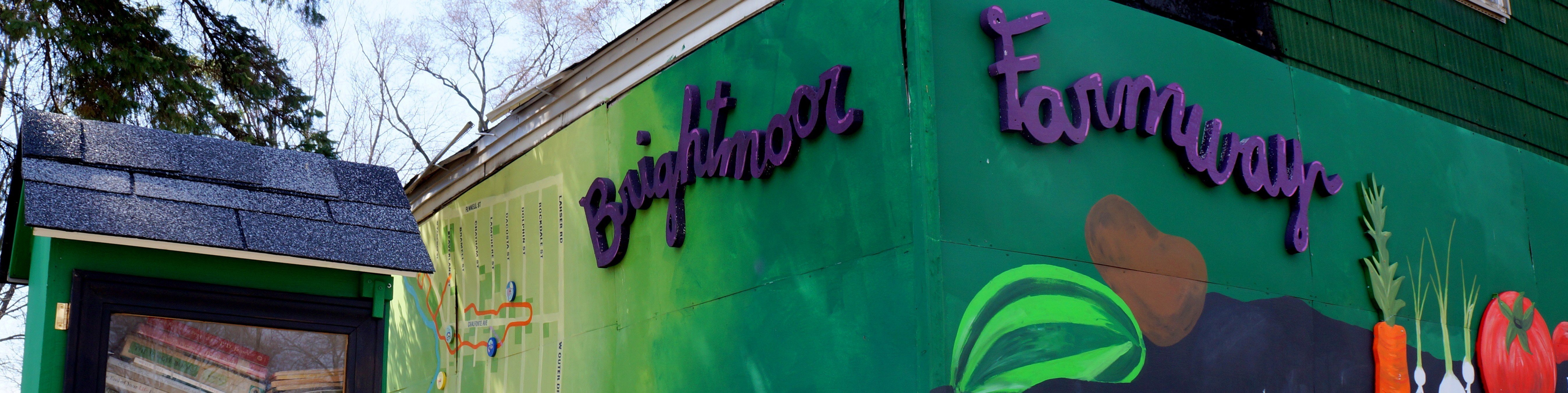 Image for Incoming Ross First-Years Help Detroit’s Brightmoor Community Rebound