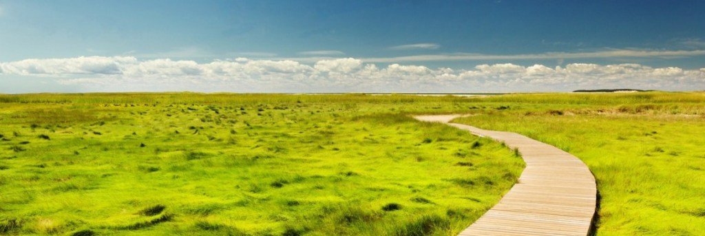 Image for Post-MBA Career Advice: 7 Ways to Jump-Start Your Professional Journey