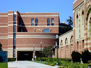 UCLA Anderson Essay Topics