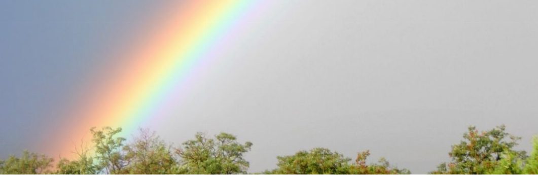 Image for Being LGBT at MIT Sloan