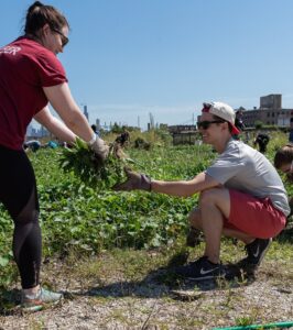 cornell johnson mba students