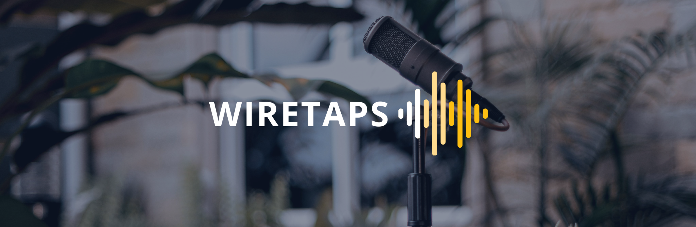 Image for MBA Wire Taps 492: Vietnam to Europe. Darden vs Johnson. Stern vs Ross